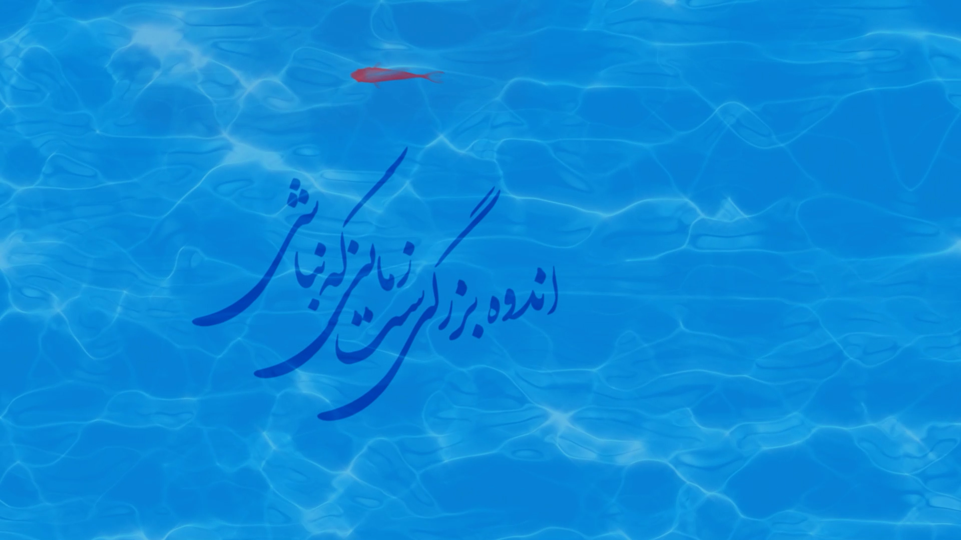 279ماه و ماهی حجت اشرف زاده.mp4.00_02_41_20.Still001