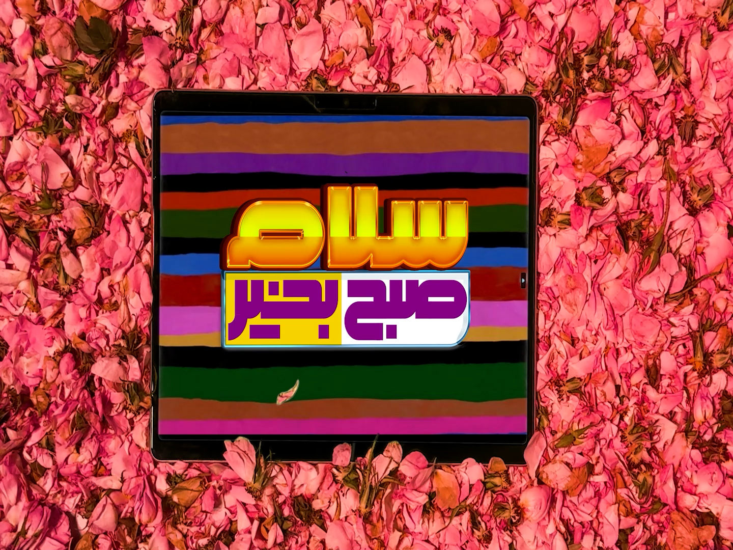 4121پاساژ سلام.mp4.00_03_58_05.Still001